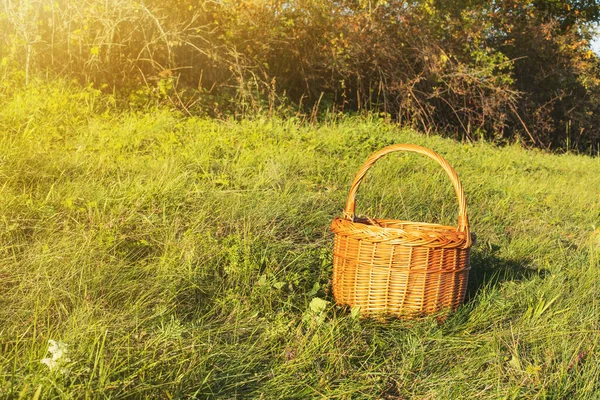 緑の草原のウィッカーバスケット 秋の晴れた日 高品質の写真 — ストック写真