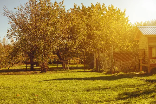 stock image Hen coop in the garden.Trees blooming in background.Spring season. High quality photo