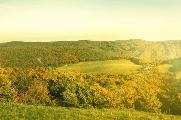 緑のフィールドや森林と農村風景 秋のシーズン 高品質の写真 — ストック写真