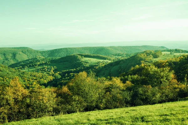緑のフィールドや森林と農村風景 秋のシーズン 高品質の写真 — ストック写真