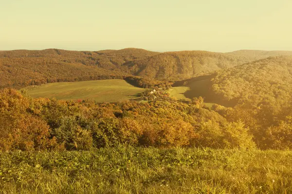 Сельский Пейзаж Зелеными Полями Лесами Высокое Качество Фото — стоковое фото