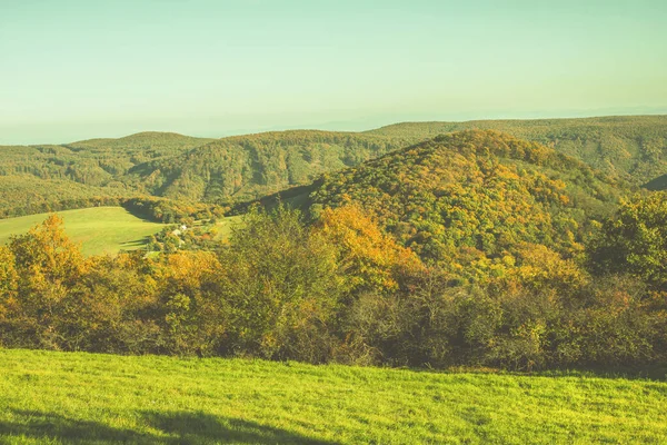 Vidéki Táj Zöld Mezőkkel Erdőkkel Őszi Szezon Kiváló Minőségű Fénykép — Stock Fotó