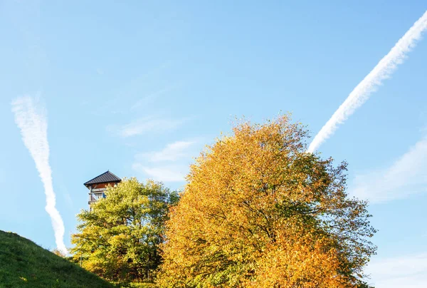 Pozorovací Věž Stromy Louce Podzimní Krajina Kvalitní Fotografie — Stock fotografie
