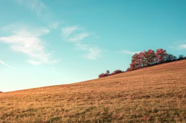 Sonbahar mevsiminde kırsal tepe manzarası. Yüksek kalite fotoğraf