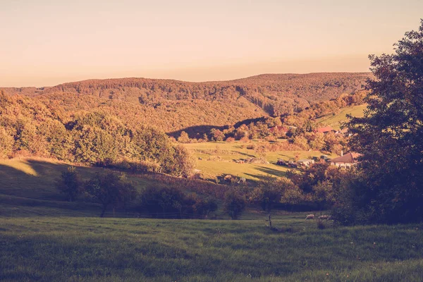 Peisaj Rural Hilly Sezonul Toamnă Fotografie Înaltă Calitate — Fotografie, imagine de stoc
