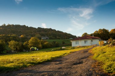 Yeşil çayırdaki ev doğayla çevrili. Sonbaharda kırsal alan. Yüksek kalite fotoğraf