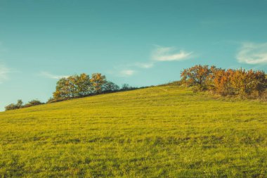 Sonbahar mevsiminde kırsal tepe manzarası. Yüksek kalite fotoğraf