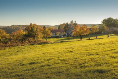 Sonbahar mevsiminde kırsal tepe manzarası. Yüksek kalite fotoğraf