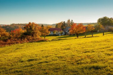 Sonbahar mevsiminde kırsal tepe manzarası. Yüksek kalite fotoğraf