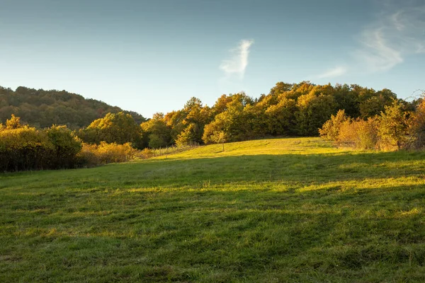 秋の季節に丘陵地帯の風景 高品質の写真 — ストック写真