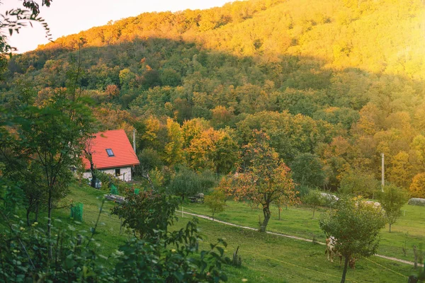 Dům Zelené Louce Obklopen Přírodou Venkovská Krajina Podzim Kvalitní Fotografie — Stock fotografie