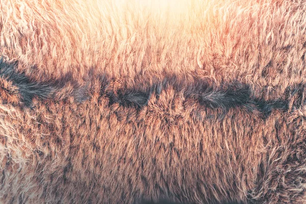 Struktura Koziego Futerka Zbliżenie Brązowe Kozie Włosy Wysokiej Jakości Zdjęcie — Zdjęcie stockowe