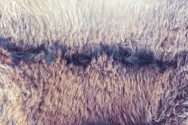 ヤギの毛の構造茶色のヤギの毛の近く 高品質の写真 — ストック写真