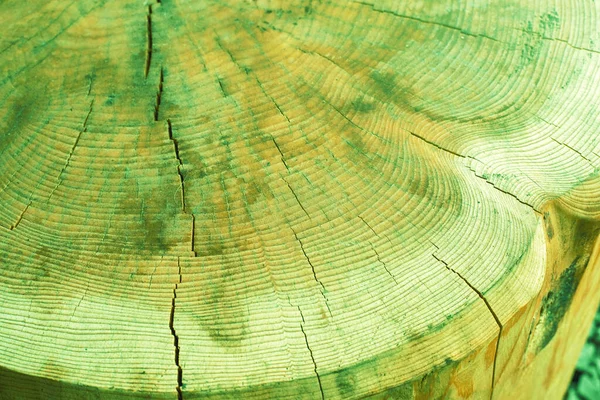 Průřez Řeziva Dřevěná Konstrukce Kvalitní Fotografie — Stock fotografie