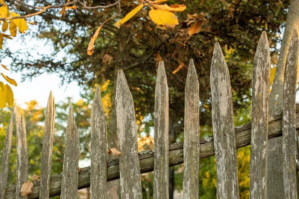 Szczegóły Starego Drewnianego Ogrodzenia Jesienny Sezon Wysokiej Jakości Zdjęcie — Zdjęcie stockowe