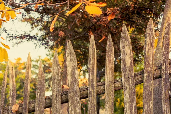 Szczegóły Starego Drewnianego Ogrodzenia Jesienny Sezon Wysokiej Jakości Zdjęcie — Zdjęcie stockowe