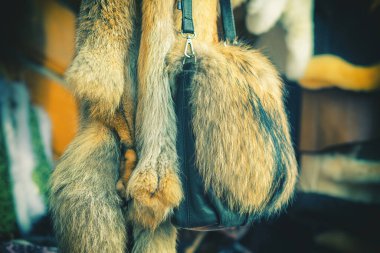 Dükkanda gerçek kürk sergilenen tilki kürkü ve el çantası. Yüksek kalite fotoğraf