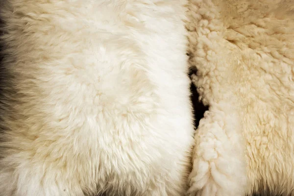 Koyun Derisi Yapıları Koyun Kürküne Yakın Yüksek Kalite Fotoğraf — Stok fotoğraf