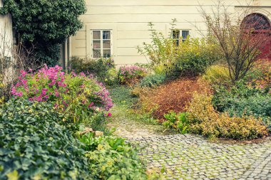 Garden in old town centre.Autumn season. High quality photo