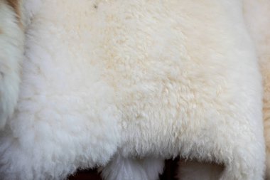 Koyun derisi yapıları. Koyun kürküne yakın. Yüksek kalite fotoğraf