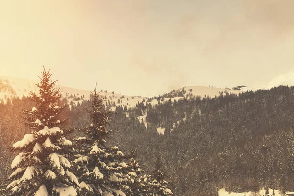 Χιονισμένα Βουνά Κορυφές Και Δέντρα Χειμερινή Περίοδος Υψηλής Ποιότητας Φωτογραφία — Φωτογραφία Αρχείου