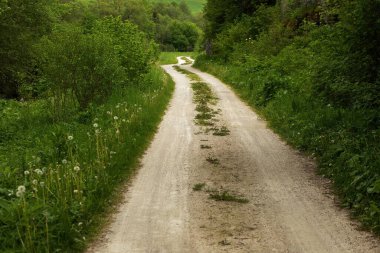 Güzel doğal toprak sapında bir yol. Yüksek kalite fotoğraf