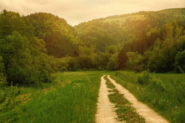 Güzel doğal çevrede bir yol var. Yüksek kalite fotoğraf