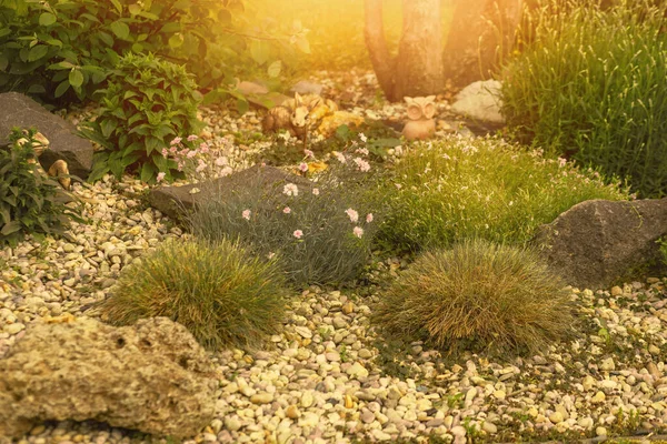 Dekoriert Buntes Blumenbeet Mit Steinen Als Dekorative Elemente Landschaftsplanung Hochwertiges — Stockfoto