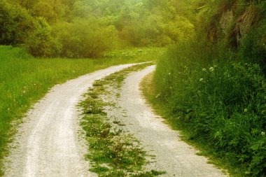 Güzel doğal toprak sapında bir yol. Yüksek kalite fotoğraf