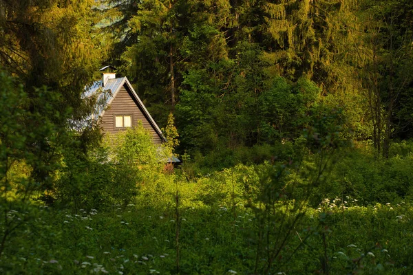나무로 오두막집의 아름다운 자연을 둘러싸고 고품질 스톡 사진