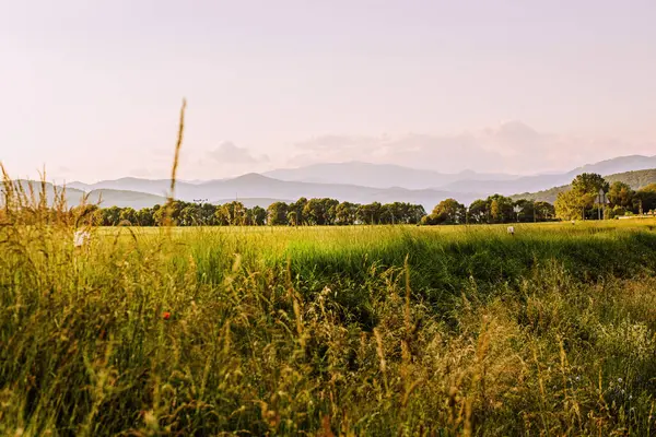 在阳光灿烂的日子里 青绿的草地 背景是多山的风景 高质量的照片 — 图库照片