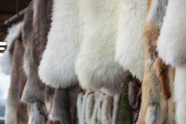 Mağazada asılı koyun derisi. Yüksek kalite fotoğraf