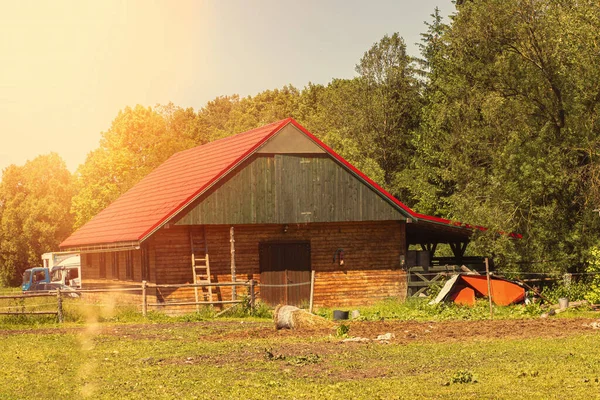 馬の納屋の緑の牧草地に立っている 高品質の写真 — ストック写真