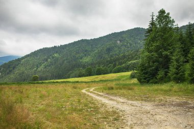 Güzel doğal çevrede bir yol var. Yüksek kalite fotoğraf