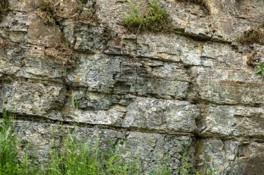 Doğadaki taş duvar. Yüksek kalite fotoğraf