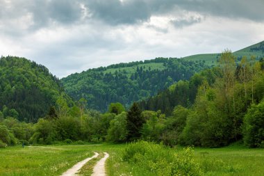 Güzel doğal toprak sapında bir yol. Yüksek kalite fotoğraf