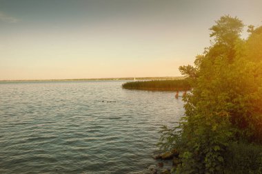 Akşamları Balaton Gölü manzarası. Yaz sezonu. Yüksek kalite fotoğraf