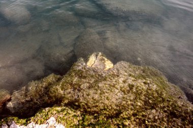 Balaton Gölü rıhtımında. Yüksek kalite fotoğraf