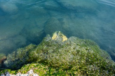 Balaton Gölü rıhtımında. Yüksek kalite fotoğraf