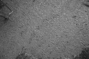 Bataklığın yüzeyinde. Yeşil su bitkileri. Yüksek kalite fotoğraf