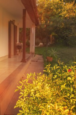 Güzel doğal çevrede eski bir köylü evi. Yüksek kalite fotoğraf