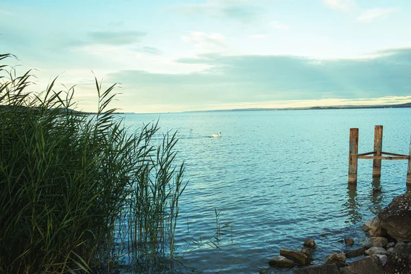 Výhled Jezero Balaton Večerních Letní Sezóna Kvalitní Fotografie — Stock fotografie