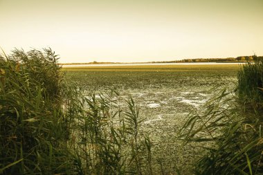 Akşamları Balaton Gölü manzarası. Yaz sezonu. Yüksek kalite fotoğraf