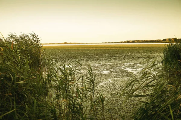 Vue Sur Lac Balaton Soirée Saison Estivale Photo Haute Qualité — Photo