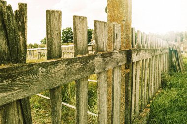 Hayvan çiftliğinde ahşap çit. Yaz mevsimi. Yüksek kalite fotoğraf