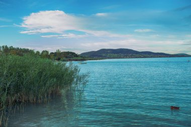 Akşam Badacsony 'deki Balaton Gölü manzarası. Yüksek kalite fotoğraf