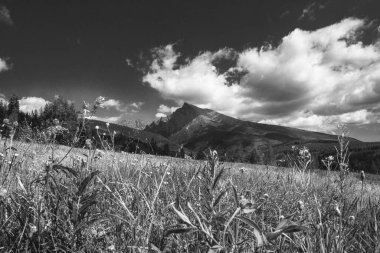 Slovakya 'nın ünlü Tatras Tepesi manzarası. Ulusal sembol. Yüksek kalite fotoğraf