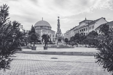 Macaristan 'ın Pesc kentindeki meydanın manzarası. Yüksek kalite fotoğraf