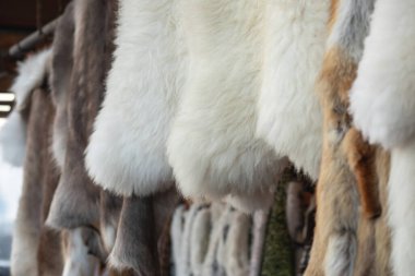 Mağazada asılı koyun derisi. Yüksek kalite fotoğraf