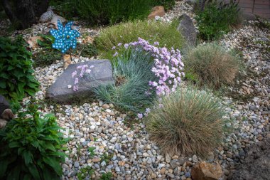 Dekoratif elementler olarak taşlarla süslenmiş renkli çiçek tarhı. Peyzaj tasarımı. Yüksek kalite fotoğraf